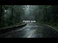 Fall Asleep Naturally With Calming Rain On A Forest Leaves | ASMR Best Rain Sound