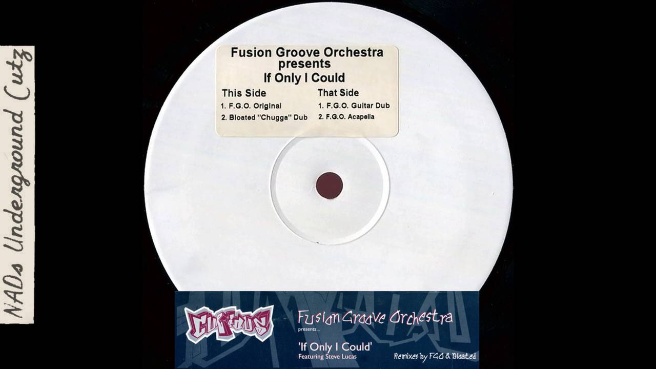 Fusion Groove Orchestra If Only I Could
