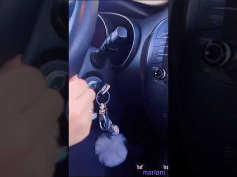 استعدوا يا قاع الهامور
