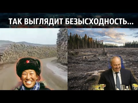 Видео: Борьба с вырубкой лесов в Копенгагене - Сеть Матадор