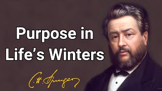 Purpose in Life’s Winters | Charles Spurgeon | Updated Devotional | Morning & Evening
