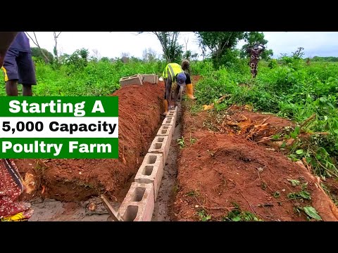 5,000 Capacity Poultry Farm Construction in Ogun State