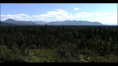 Competition, Predation, and Symbiosis | Biology | Ecology