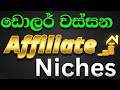 Affiliate Marketing 2026 | USA & UK වලට වැඩ කරන හොඳම Niches
