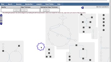 Comparative and Omics Tools In BioCyc Part 1