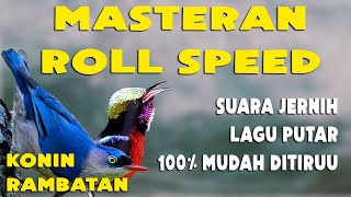 MASTERAN ROLL SPEED MURAI BATU KONIN VS RAMBATAN! LAGU PUTAR  SUARA JERNIH COCOK UNTUK BURUNG JUARA!