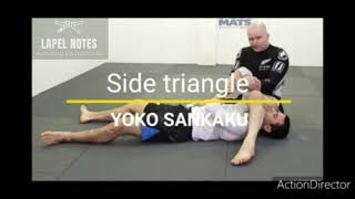 Five Triangles terminology by Danaher (eng + jap)