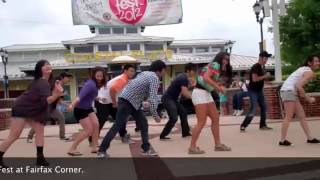 Flash Mob PROMposal at Fairfax Corner