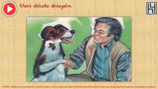 Sahibini Unutmayan Köpek Dinleme Metni
