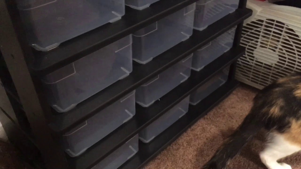 Animal Plastics Hatchling Rack Review - YouTube
