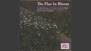 Reels: The Flax in Bloom / The Millstone / The Dairymaid