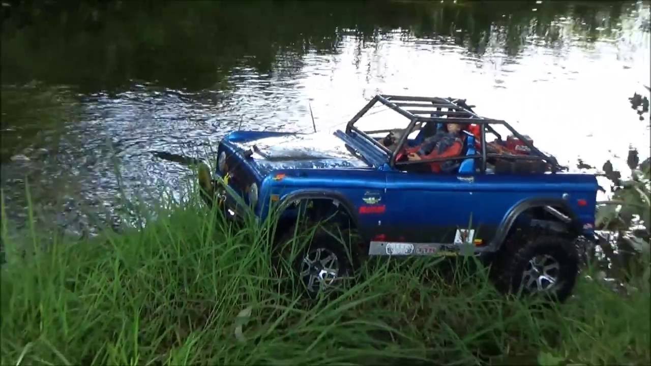 Fun Time at the Brook