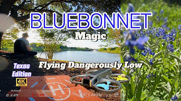 DJI Avata 2 Flying Dangerously Low - Bluebonnet Magic (Texas Edition) 4K