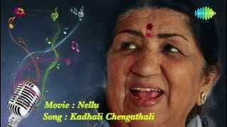Kadhali Chengathali song | Nellu