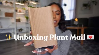 Unboxing Plant Mail  | new hoya, monstera, alocasia & one that didn’t make it