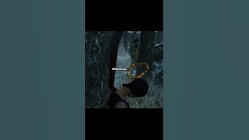 The Bubba Experience...