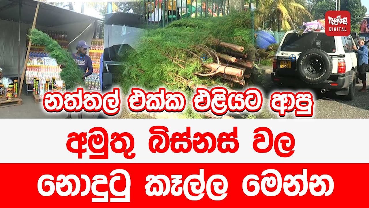 නත්තල් එක්ක එළියට ආපු අමුතු බිස්නස් වල නොදුටු කෑල්ල මෙන්න