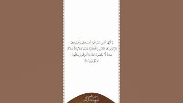 تلاوة في دقيقة سورة التحريم الآية ٦ الشيخ ماجد الزامل