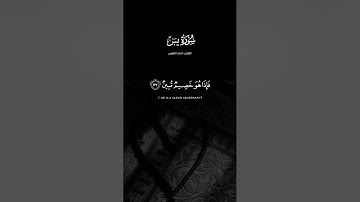 فلا يحزنك قولهم إنا نعلم ما يسرون وما يعلنون   القارئ   احمد النفيس  سورة يس  #