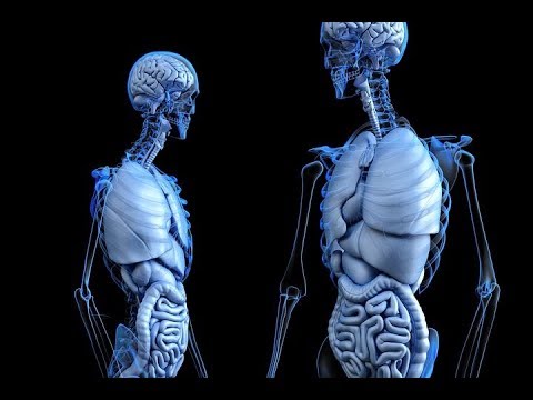 أول عملية جراحية ناجحة لزراعة رأس بشري