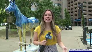 WYMT Mountain News Weekend Edition at 6 p.m. - Top Stories - 6/26/22