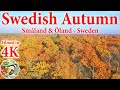 Swedish autumn  smland  land  sweden