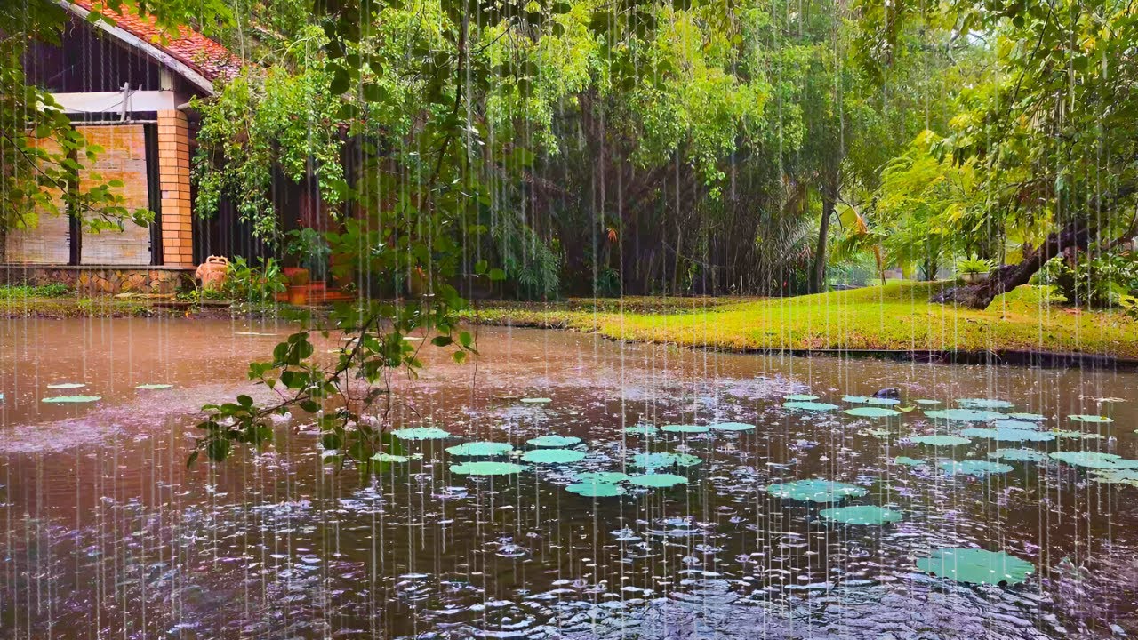 Nature Therapy for the Restless Mind - Sound of Rain on Still Lake ...