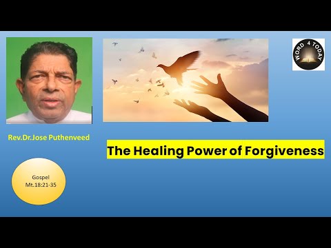 Sunday Homily 24th Sunday 2023