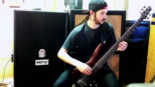 Meshuggah Demiurge Bass Cover
