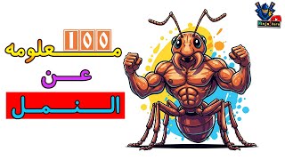 100 سر عن النمل 🐜  - اعظم مخلوق في الكون | أقوي من البشر 😳💪