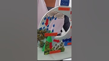 B.Ed 2 Semester Practicum || Practicum Science 🔭 Model ||