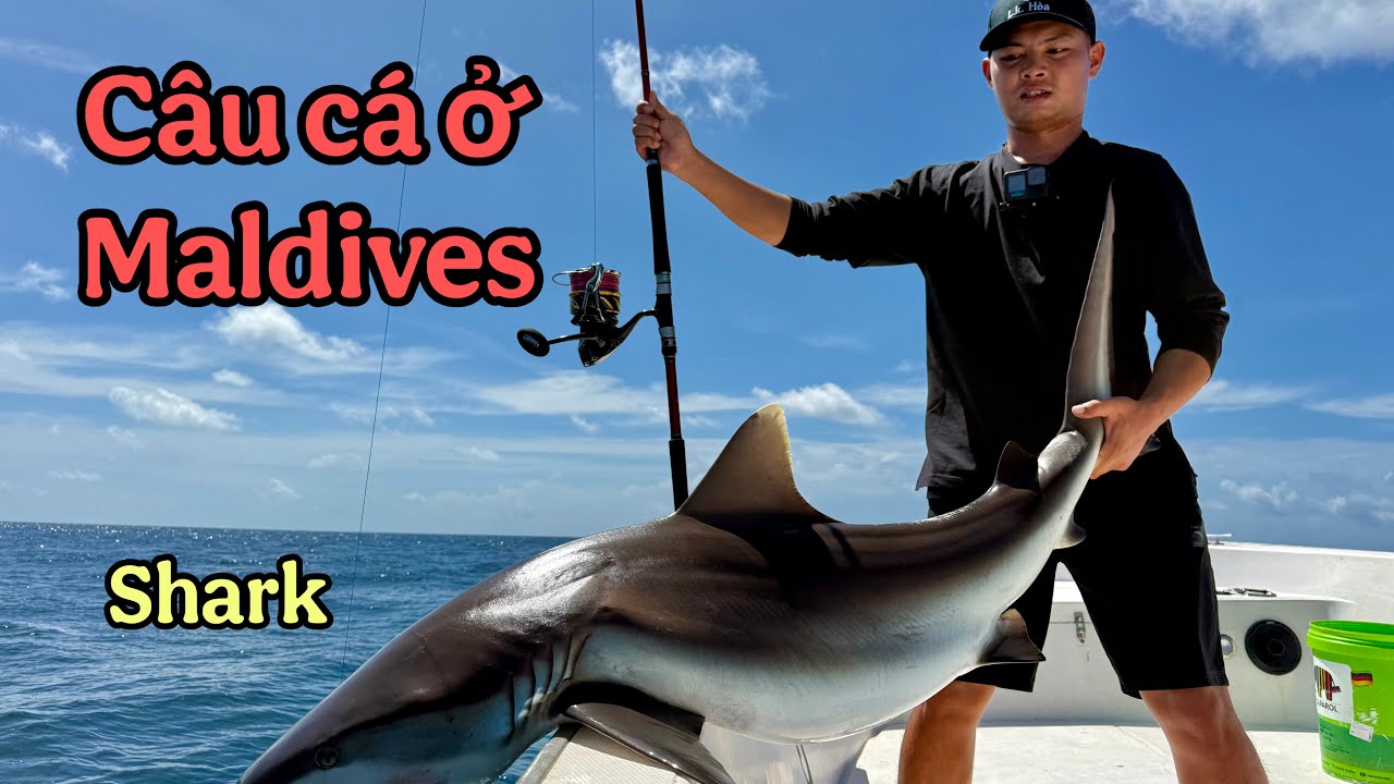 Lang Thang Câu Cá Ở Maldives 