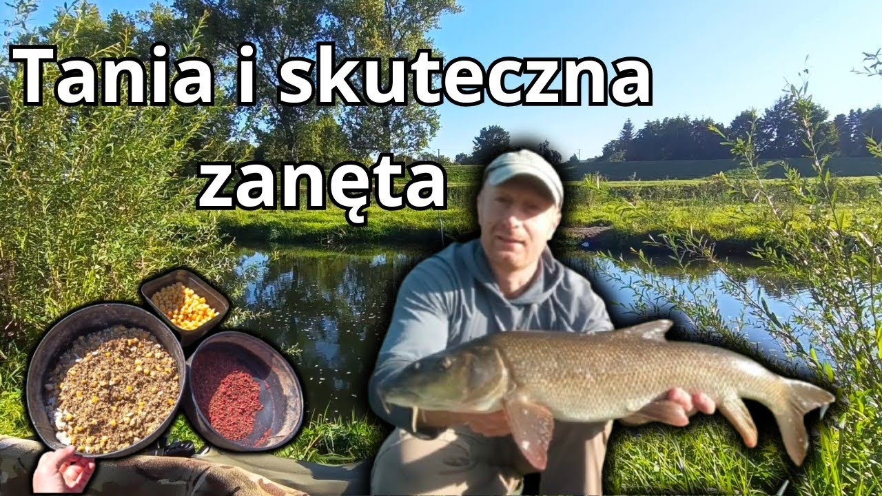 Jak łowić brzany i wielkie klenie ? Tania i skuteczna zanęta!