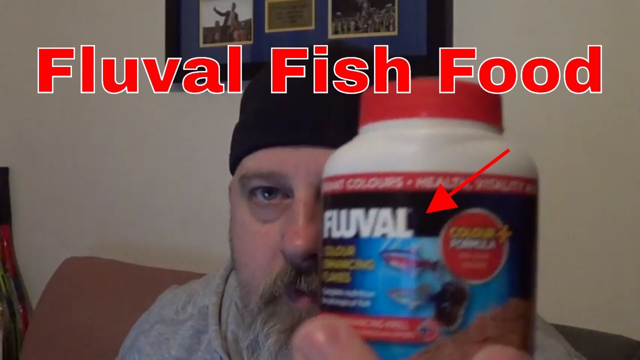 cichlid colour enhancing food