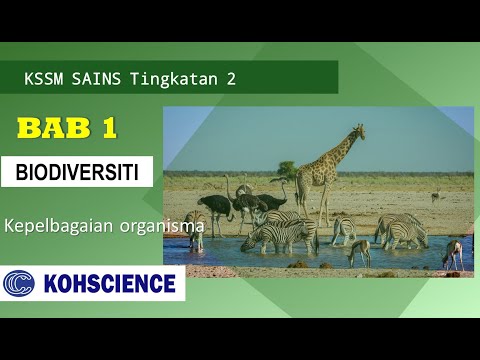 SAINS T2-B1 Biodiversiti - Kepelbagaian organisma dan kepentingan biodiversiti