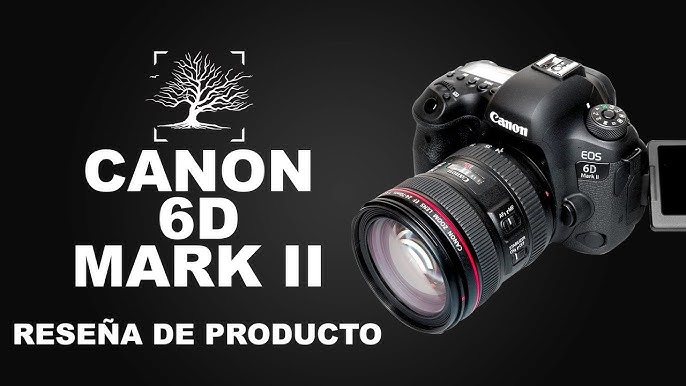 IDOLATRADA POR MUCHOS FOTÓGRAFOS: CANON 6D MARK II