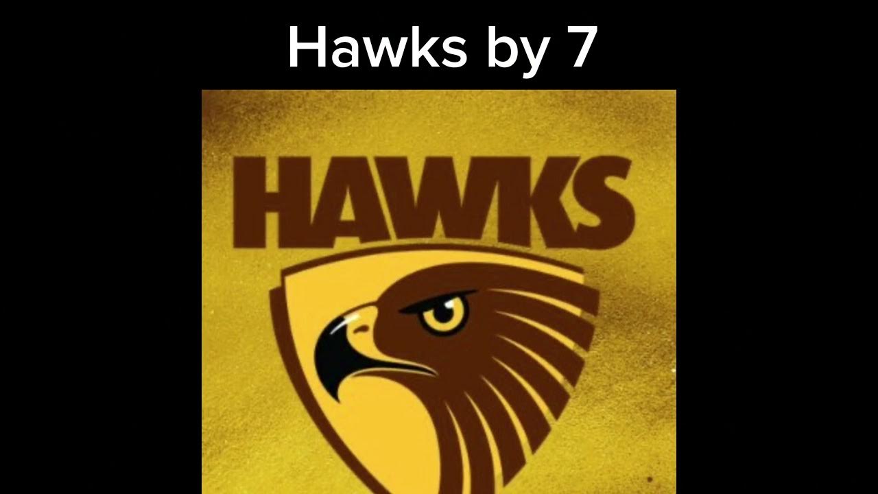 2024 AFL Round 13 Predictions YouTube