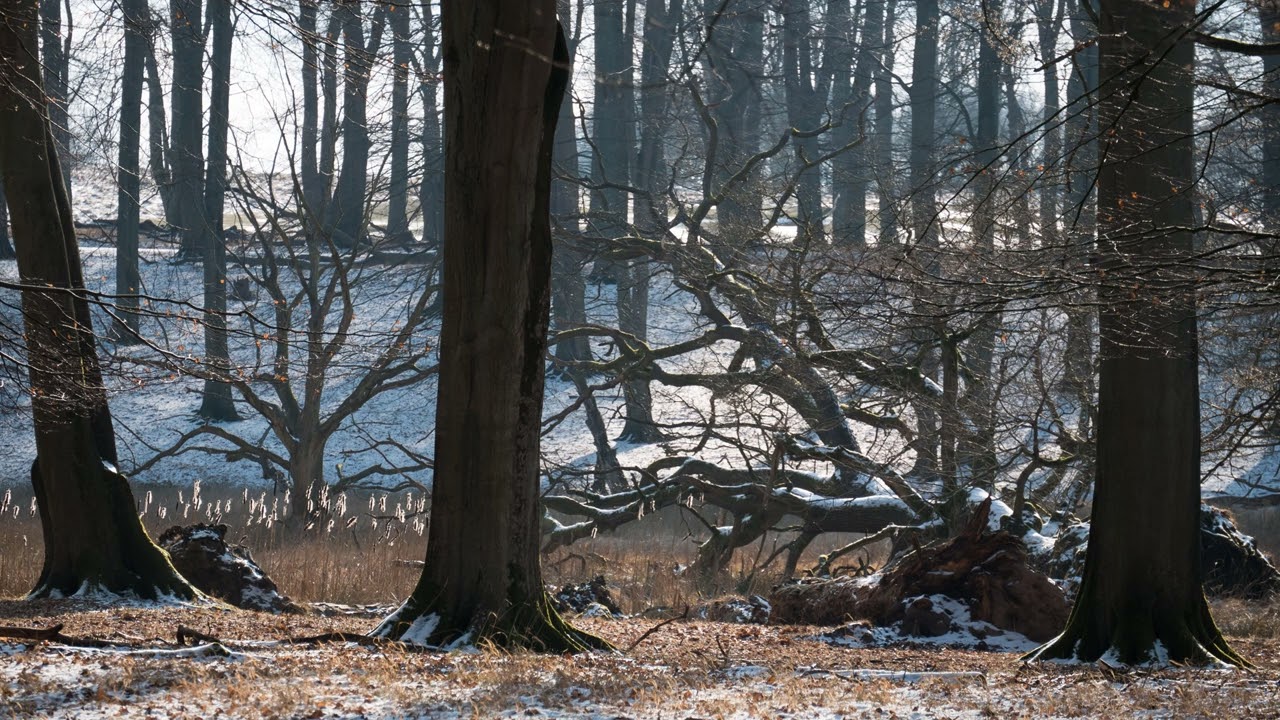 Frosted Horizon Lounge