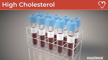 What is High Cholesterol?