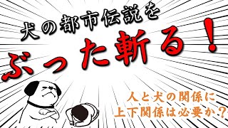 犬の都市伝説をぶった斬る！【人と犬の関係に上下関係や主従関係は必要？】