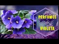 Perfumes con VIOLETA