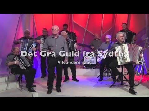 vildandens sang tekst vildandens sang tekst