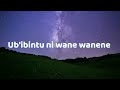 Wanene El Pro Official Lyrics Song Wanene El Pro Official Lyrics Song