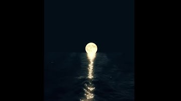 سورة البينة الشيخ عبدالله المطرود