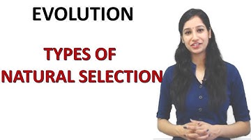 Types Of Natural Selection I Stabilizing I Direction I Disruptive Selection I Evolution