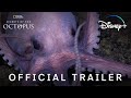 Secrets of the octopus  official trailer  disney