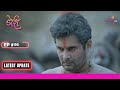 Doree | डोरी | Ep. 96 |  | Latest Update