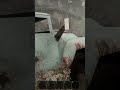Bombings happen from time to time in MISERY #funnygamingvideos #comedy #funny