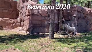 Bearizona 2020 -