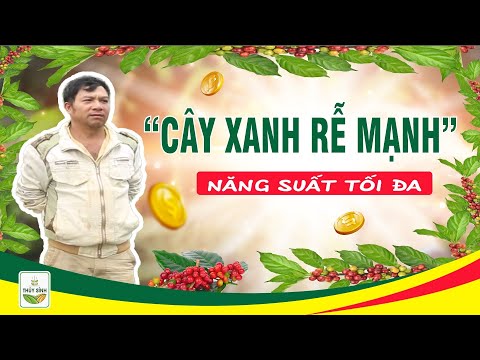 Video | Thủy Sính | - 